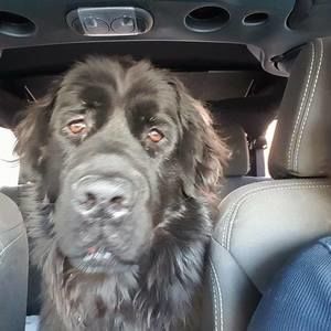 Meet your Posher, Glenna